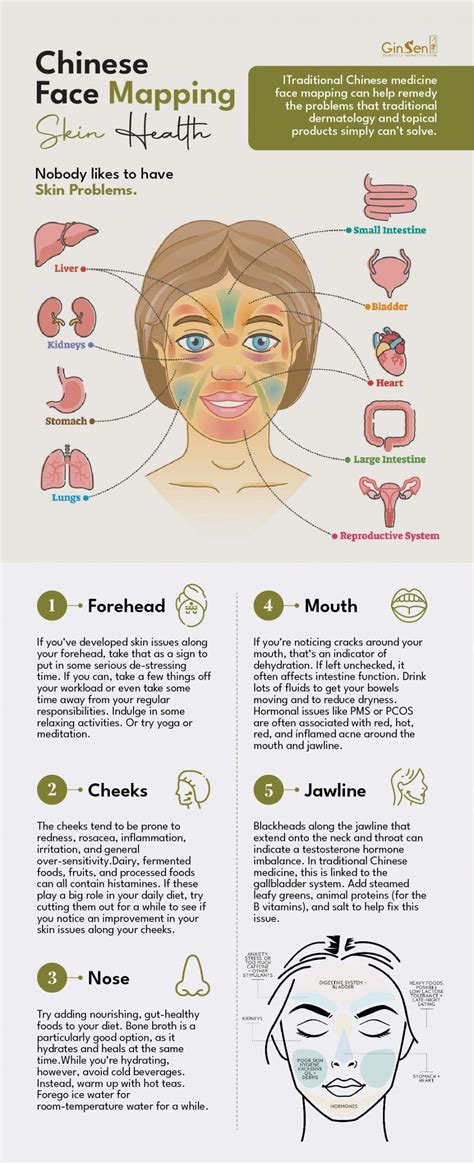 Improve Your Skin Health With Chinese Face Mapping Mien Shiang Face