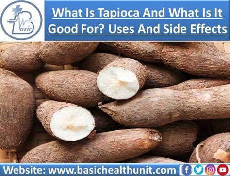 What Is Tapioca And What Is It Good For Uses Benefits And Side Effects By Muhammad Zohaib