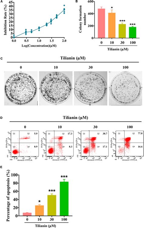 Tilianin Inhibits Cell Proliferation And Induces Cell Apoptosis In Download Scientific