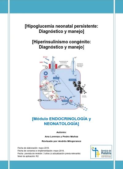 Hipoglucemia Neonatal Persistente Diagnóstico Y Manejo