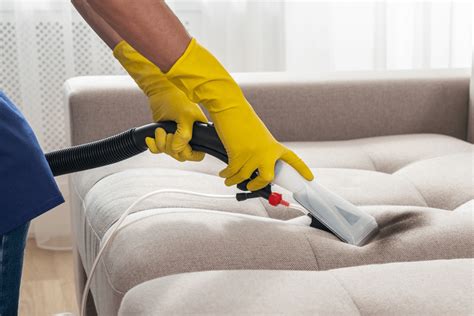 5 Tips to Avoid Bed Bug Growth on the Couch | Bria Homes