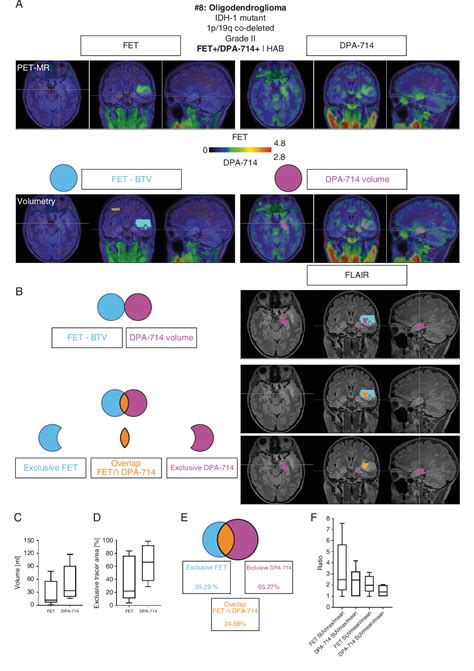 Figure 2 From TSPO Imaging Guided Characterization Of The