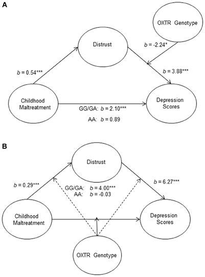 Frontiers A Paradoxical Association Of An Oxytocin Receptor Gene