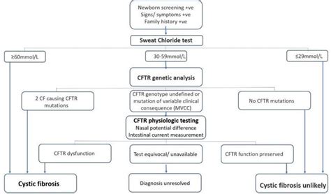 Introductory Chapter Basics Of Cystic Fibrosis Intechopen