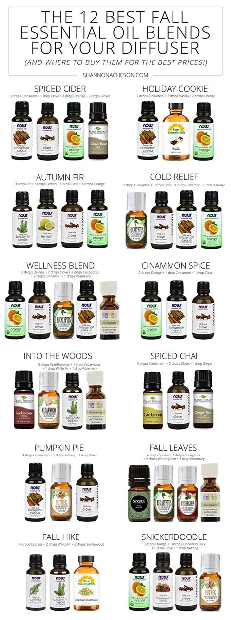 12 of the Best Fall Essential Oil Blends For Your Diffuser