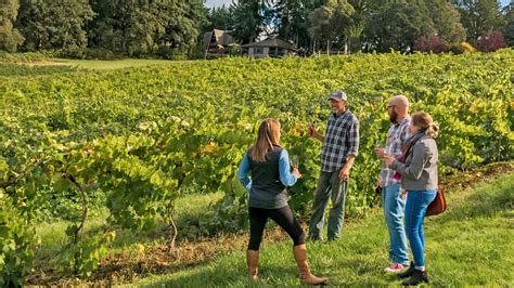 Find Your New Favorite Pour On The Mt Hood Territory Wine Trail