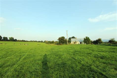 50-acre farm in Tipperary to go under the hammer - Premium