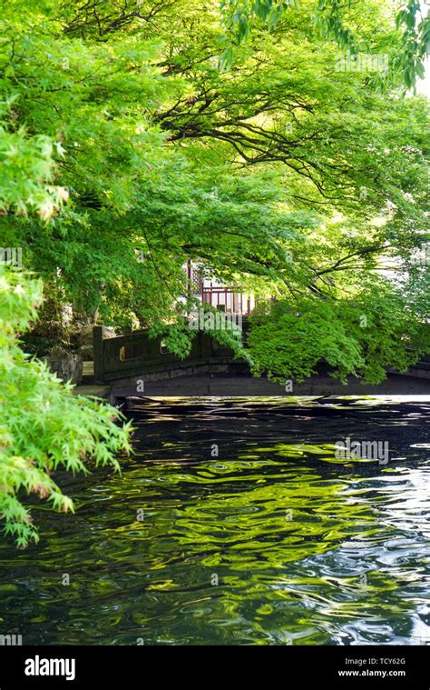 Spring color of West Lake Scenic Area Stock Photo - Alamy