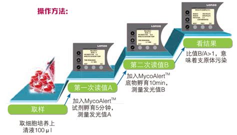 Lonza Mycoalert支原体检测试剂盒、支原体清除试剂盒代理