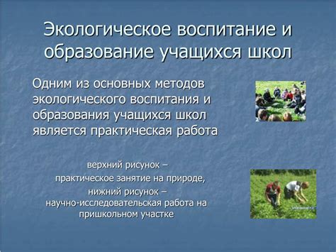 Экологическое образование презентация - 95 фото