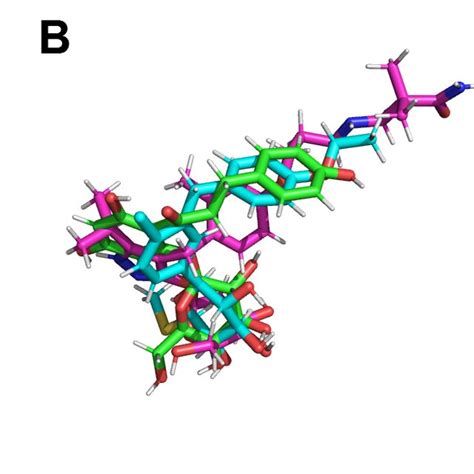 A Pose Of Phlorizin Green And Galactose Yellow From In The SGLT1