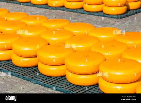 Traditional Wheels Of Gouda Cheese On Display On Cobblestones At