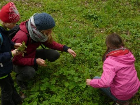 Junge Auwald Ranger auf Wildkräutertour Auwaldstation Leipzig