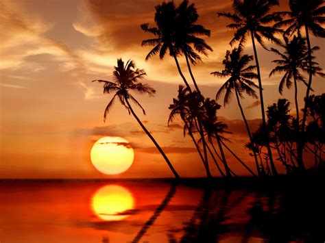 Tropical Sunrise Wallpapers - Top Free Tropical Sunrise Backgrounds - WallpaperAccess