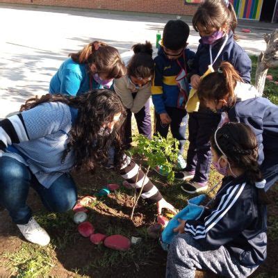 Clubes Ambientales Biblioteca Ambiental