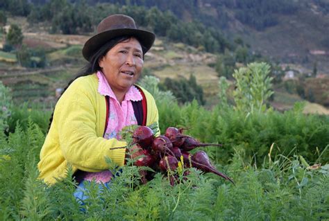 Minagri Desarrollo De La Agricultura Familiar Requiere Planificar