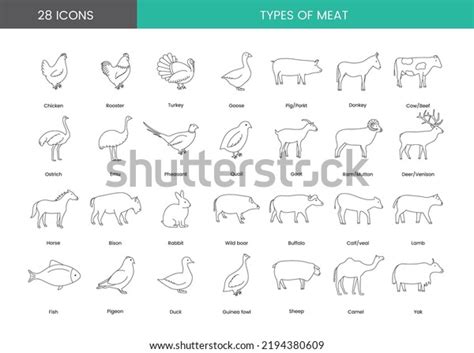 1,127 Types Of Fowls Images, Stock Photos & Vectors | Shutterstock