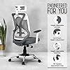 Da Urban Merlion Office Chair High Back Mesh Ergonomic Home Office