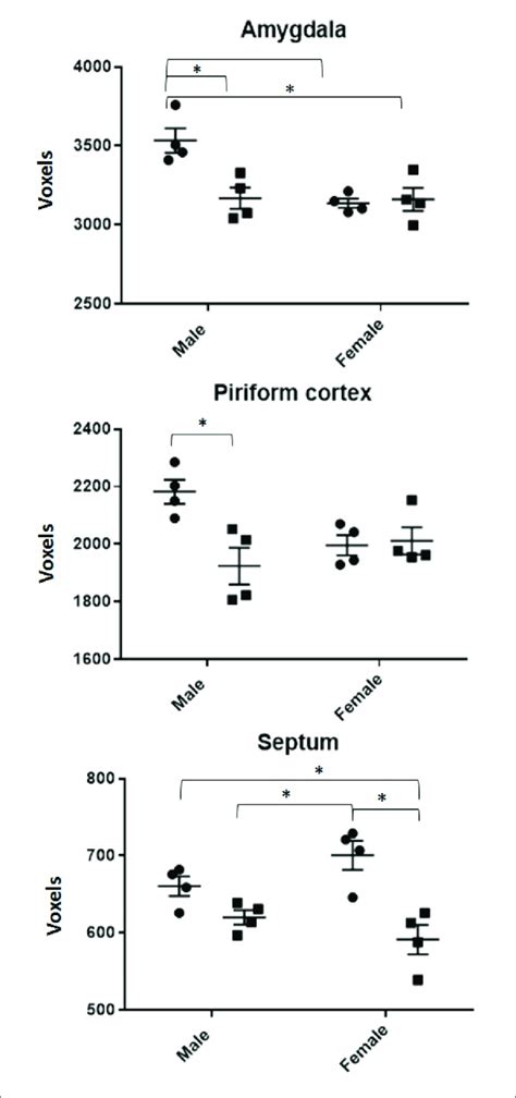 All Volumes Of Regions Demonstrating A Radiation By Sex Interaction