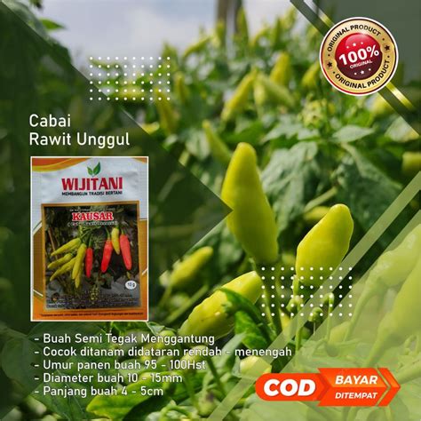 Jual Benih Cabai Rawit Kausar Wijitani Seed Cabai Rawit Unggul 10gr