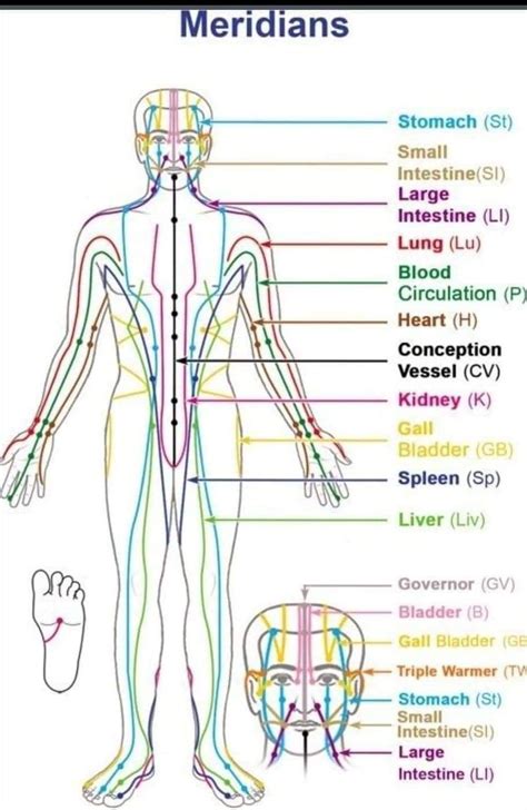 Pin By Cristina Dominique Gerencser On A Quantum Healing Journey