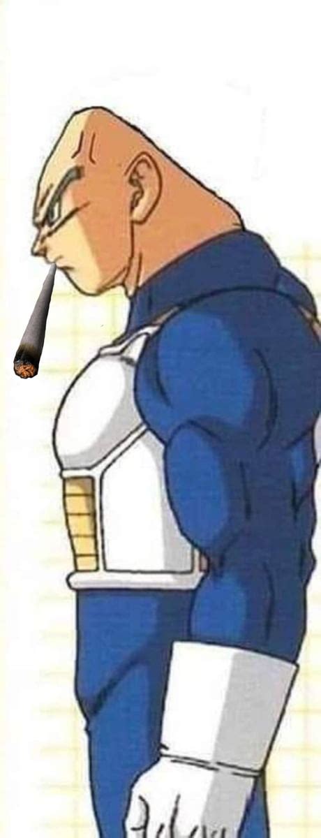 vegeta without hair : r/hardimages