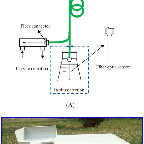 A Schematic Of Evanescent Wave All Fiber Optical Biosensing Platform