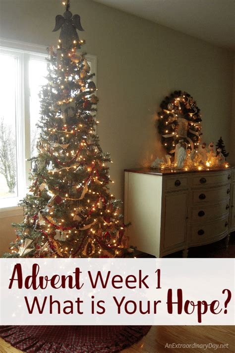 Advent Week 1 ~ What is Your Hope? | JoyDay! - An Extraordinary Day