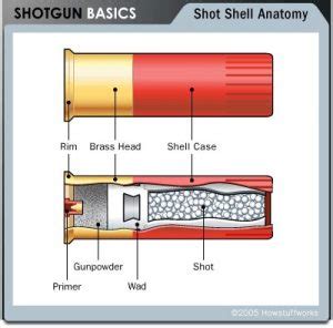 Unraveling The Economic Viability Of Reloading Shotgun Shells | Shotgun ...