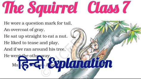 The Squirrel Poem Ncert English Honeycomb हिन्दी Explanation