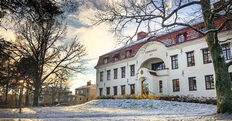 Hotade Broder Med Pistol Döms Till Fängelse Svt Nyheter