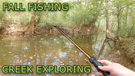 Fall Fishing Exploring New Creek Youtube