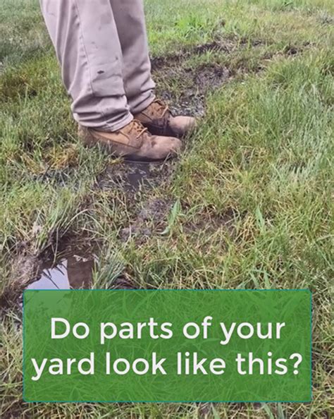 6 Common Yard Drainage Problems - Who to Call for Help?