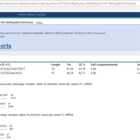 Output of Primer-BLAST showing detailed primer reports | Download Scientific Diagram