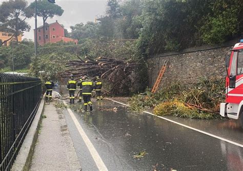 Maltempo In Liguria Frane Allagamenti E Strade Interrotte Allerta