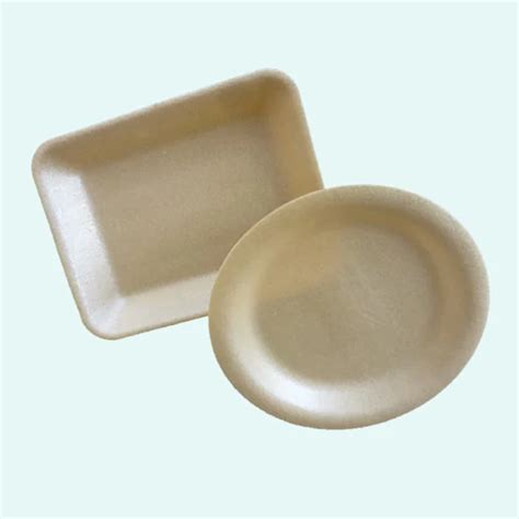 PLA Foam Packaging Meat Tray Biodegradable Fruits And Vegetables