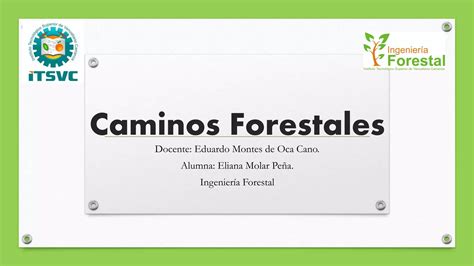 Caminos Forestales PPT