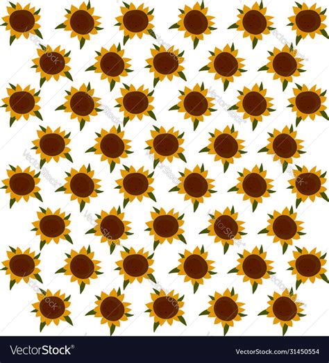 Sunflower wallpaper on white background Royalty Free Vector