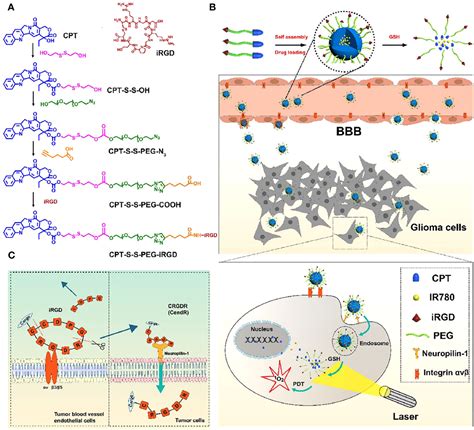 Frontiers Reactive Oxidative Species Ros Based Nanomedicine For Bbb