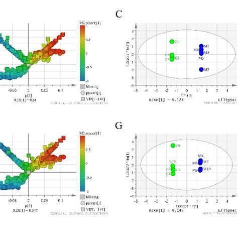 The Analysis In SIMCA P Of Control And CUMS Rats A The OPLS DA Score