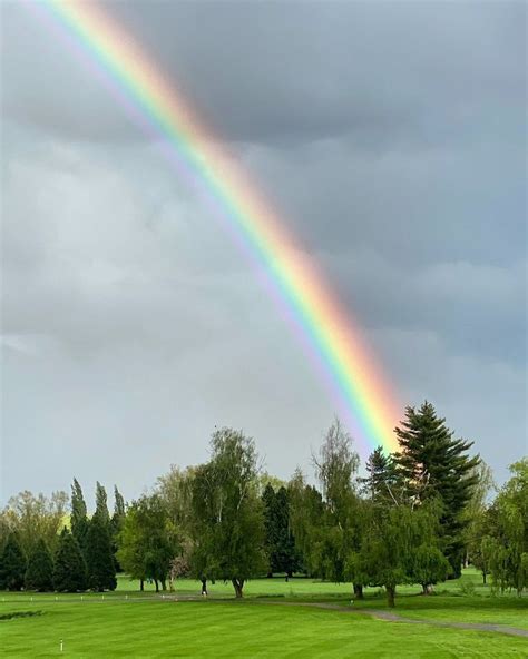 A Rainbow Is Shining In The Sky Over A Green Field With Trees On Either