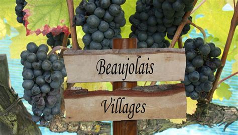 Connaissez Vous Bien Le Beaujolais Quiz Femme Actuelle