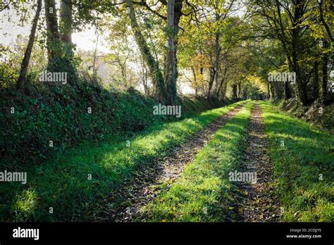 Normandy countryside hi-res stock photography and images - Alamy