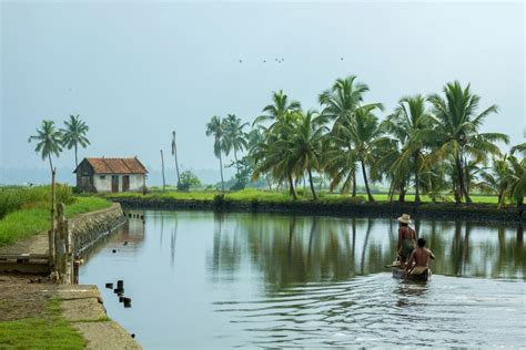 11 Dreamy Photos of Kerala's Backwaters Attractions