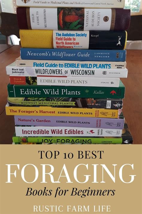 Top 10 Best Foraging Books For Beginners Field Guide Books Foraging