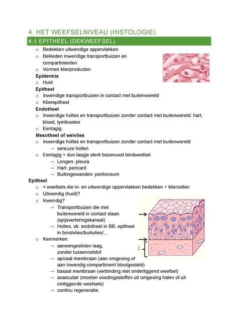 Weefselniveuas Samenvatting 4 HET WEEFSELNIVEAU HISTOLOGIE 4