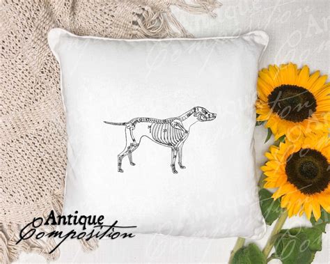 Dog Clip Art Vintage Dog Printable Dog Skeleton - Etsy