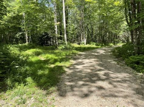 Best 10 Hikes and Trails in Quabbin Reservoir | AllTrails