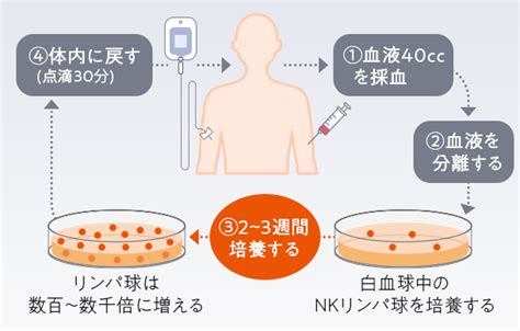 Abf先進治療コンシェル