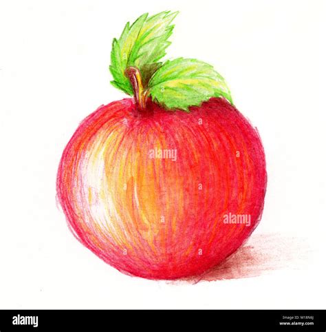 Pencil drawing fruit hi-res stock photography and images - Alamy